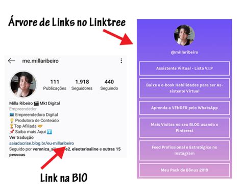 r/gatasbr|Acesse o link na Bio .
